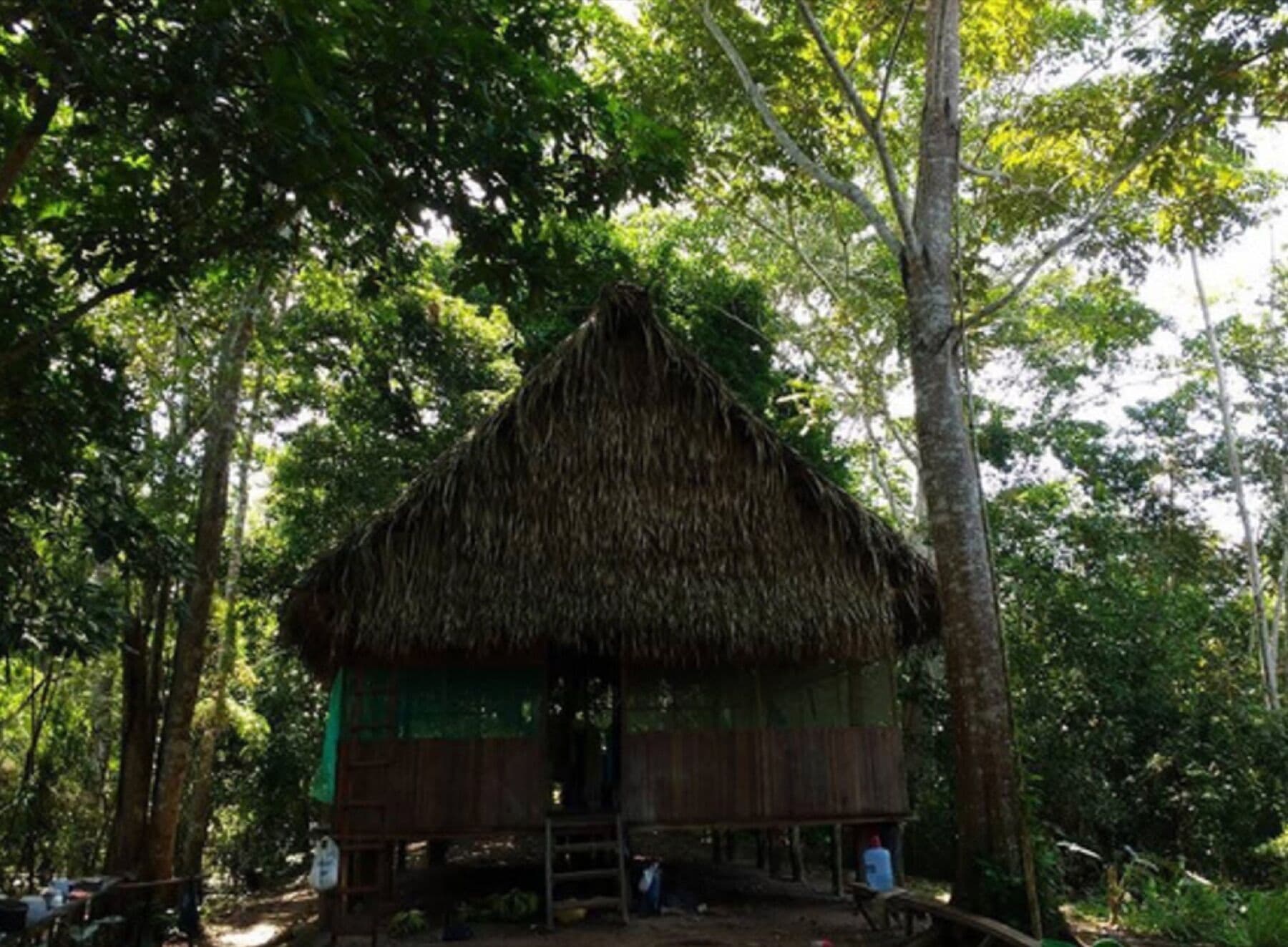 A tambo in the jungle