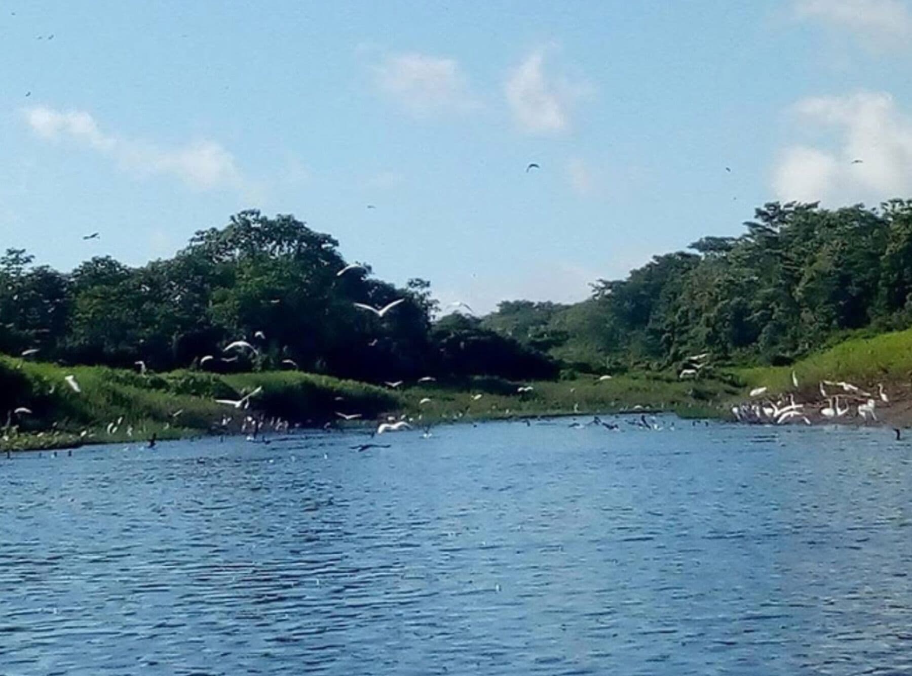 Llegas por el río